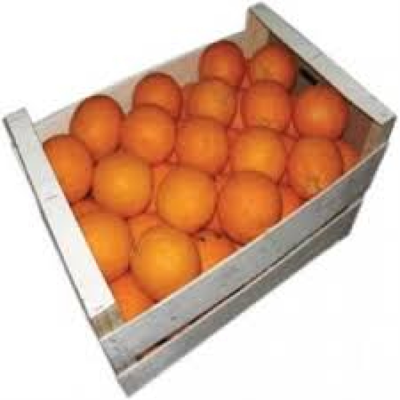 PERSSINAASAPPELEN PER DOOS / ONGEVEER 12,5KG